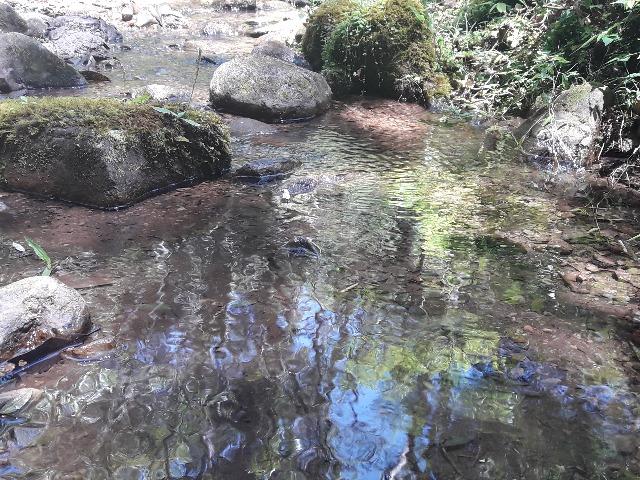 Sitio em Urubici /chacara em Urubici