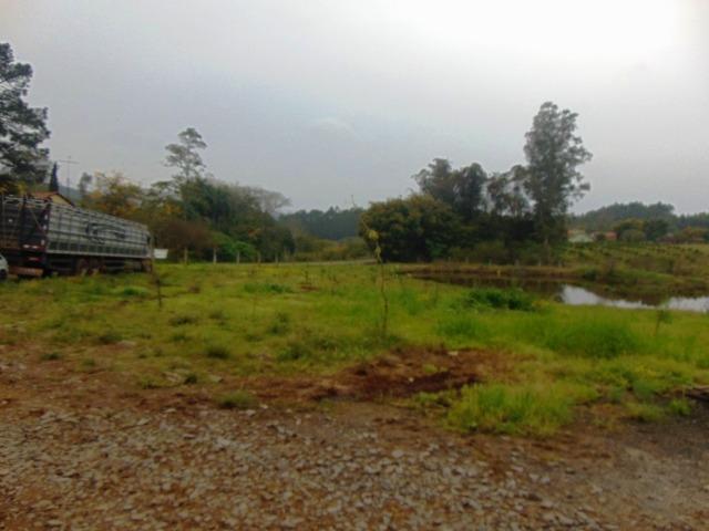 Área de 6 ha - Costa da Serra - Montenegro - 37 - Foto 4