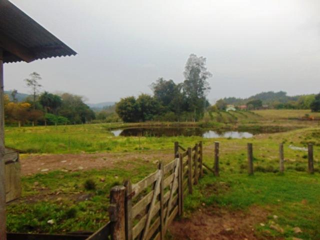 Área de 6 ha - Costa da Serra - Montenegro - 37 - Foto 10