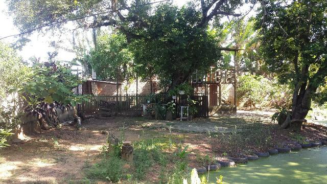 BORGES VENDE - Chácara Parque Residencial Gaivotas, Terreno com 700m² - Foto 19