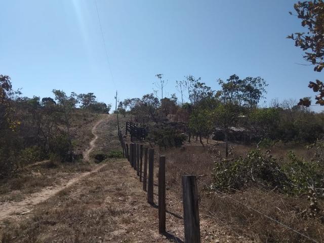 Chácara km 22 estrada da guia - Foto 2