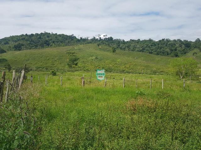 Ipiaú. Fazenda pecuária com 418 Hectares, completa infraestrutura - Foto 2