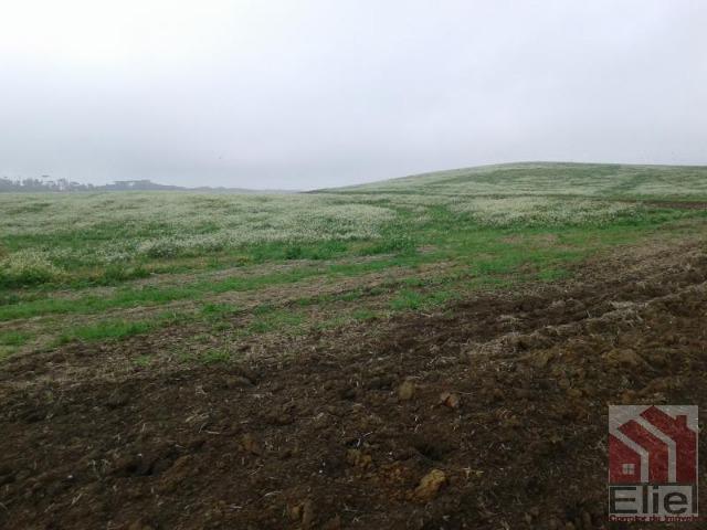 Fazenda Produtiva, Topografia Mecanizada, Propriedade Lindíssima - Foto 11
