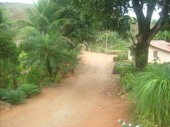 Sitio na Lajinha - Foto 6