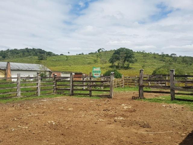 Ipiaú. Fazenda pecuária com 418 Hectares, completa infraestrutura - Foto 16