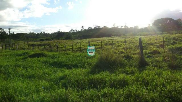 Itagibá. Fazenda pecuária de 375 Hectares com toda infraestrutura. - Foto 19