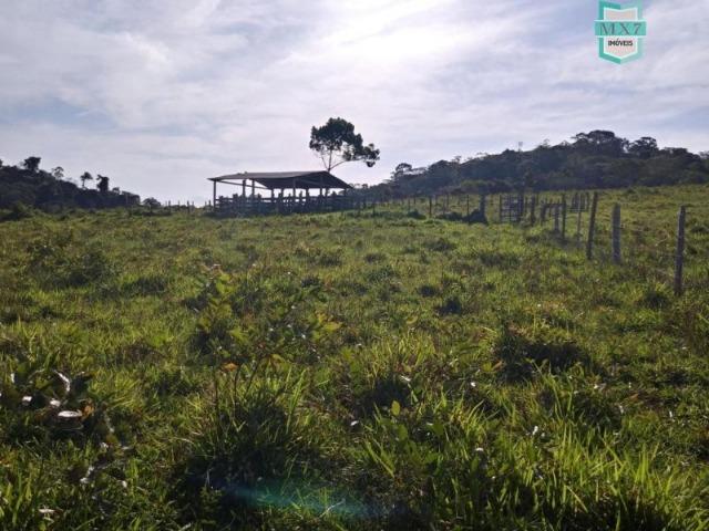 Maraú. Fazenda de 710 Hectares com diversas atividades de produção e rica em água - Foto 19