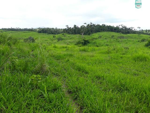 Itaju do Colônia. Fazenda de 400 Hectares. para pecuária. - Foto 4