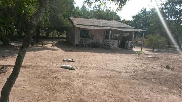 Chacará