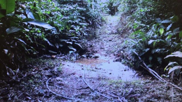 Aceita troca em Bombinhas/SC, sítio com 105.000 m² à venda em Botuverá /SC - Foto 8