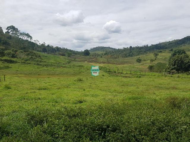 Ipiaú. Fazenda pecuária com 418 Hectares, completa infraestrutura