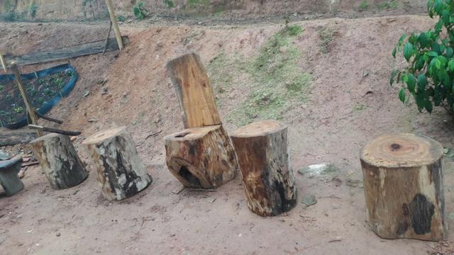 Chácara área rural porteira fechada - Foto 15