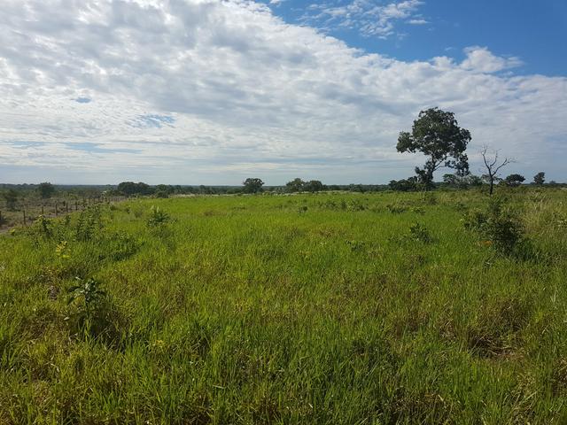 Sitio 22 hectares