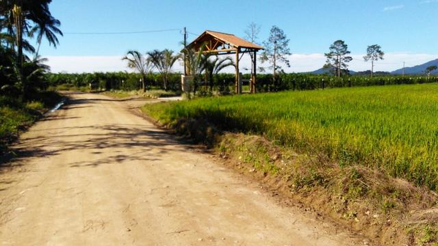 Fazenda Plana toda Aproveitável, Valor muito Atrativo do que Pedem Na Região - Foto 3