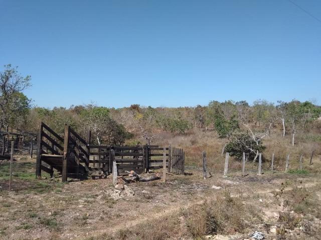 Chácara km 22 estrada da guia - Foto 11