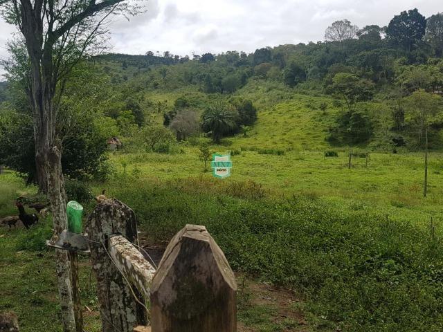 Ipiaú. Fazenda pecuária com 418 Hectares, completa infraestrutura - Foto 7