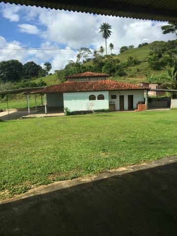 Fazenda na Cidade de Mata de São João - Foto 7