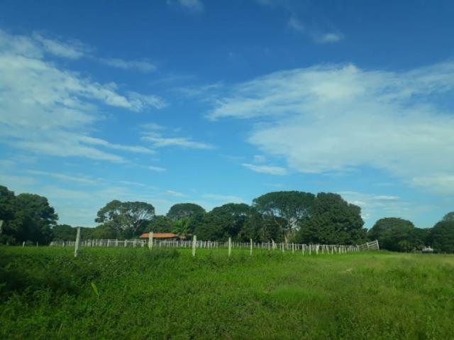 FAZENDA A VENDA EM CORUMBÁ - MS (Pecuária)