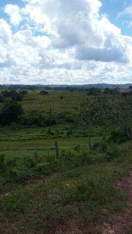 Fazenda na Cidade de Mata de São João - Foto 20