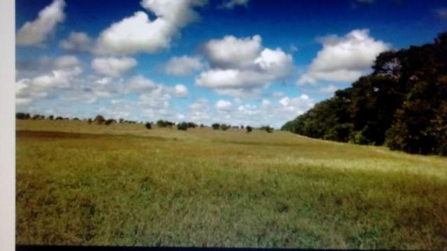 350 ha de pasto pra arrendar