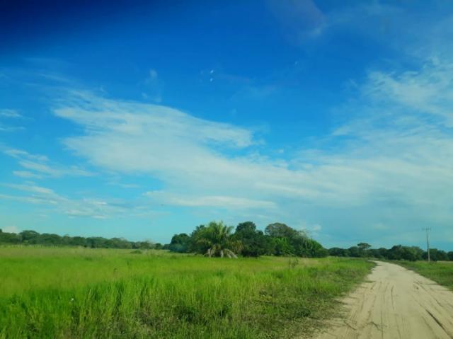 FAZENDA A VENDA EM CORUMBÁ - MS (Pecuária) - Foto 3
