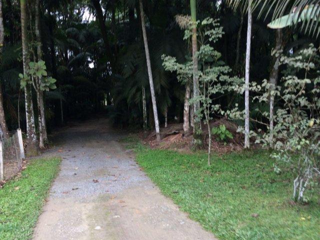 Chácara para alugar com 4 dormitórios em Vila nova, Joinville cod:L58656 - Foto 14