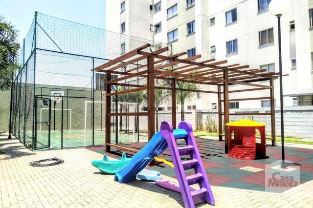 Apartamento à venda com 3 dormitórios em Alto caiçaras, Belo horizonte cod:256280 - Foto 19