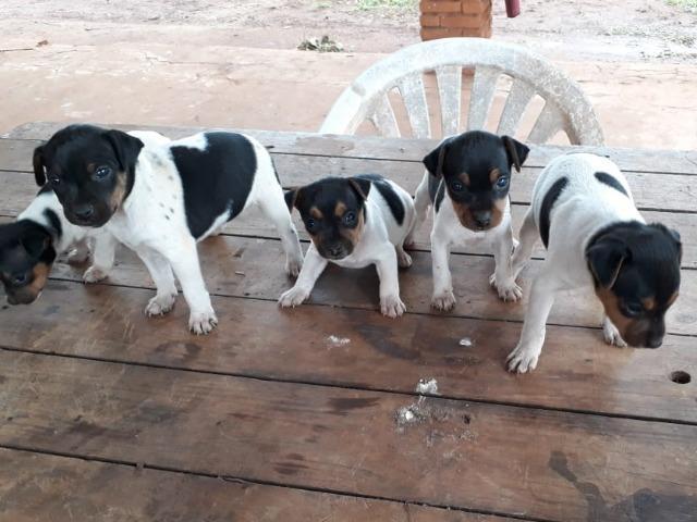 Bem pequenos