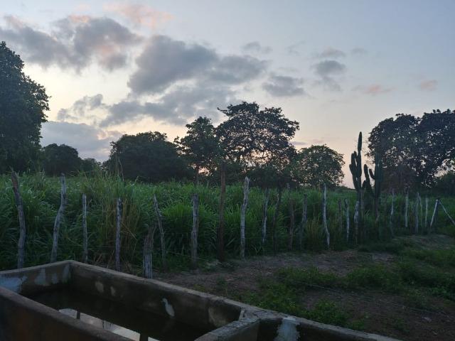 Granja com 8,8 há, duas casas, 2 poços, muito pasto, perto da reta tabajara - Foto 2