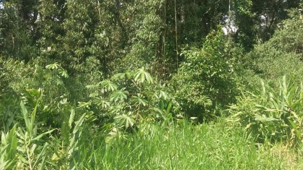 Bom terreno de esquina medindo 12.80 x 24 total 307,20 m2 em itapoá na área retro portuári - Foto 5