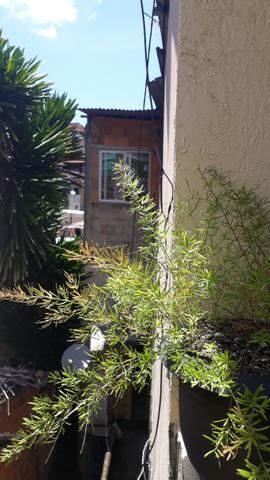 Alugo casa - Foto 17