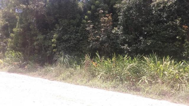 Ótimo terreno de 38,40 x 24 total 921,60 m2 em itapoá na área retro portuária, com infra e - Foto 6