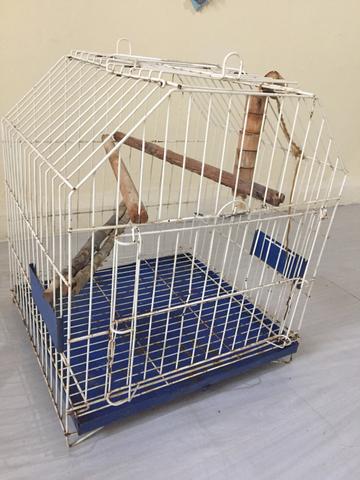 Gaiola para calopsita ou caturrita