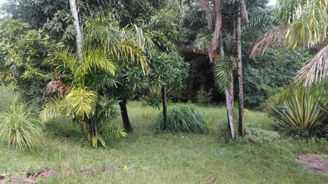 Chácara à venda em Centro, Itu cod:60014 - Foto 19