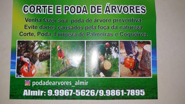 Poda e cortes de árvores!!