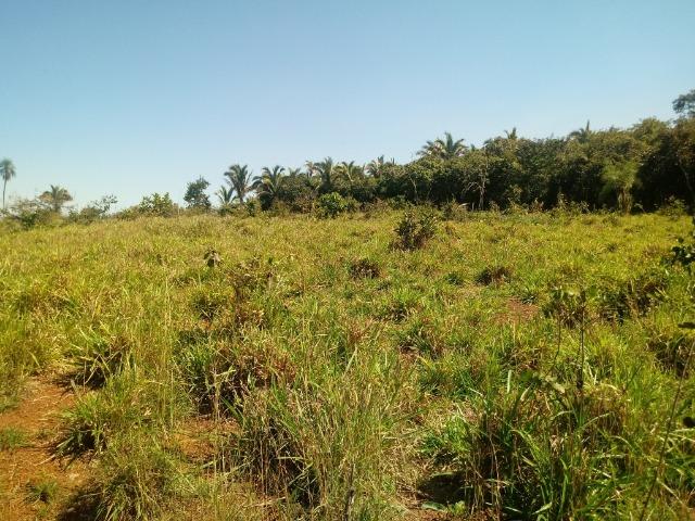 Chácara de 39 hectares em Acorizal ! - Foto 11