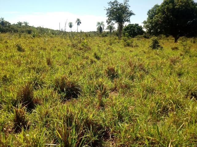 Chácara de 39 hectares em Acorizal ! - Foto 16