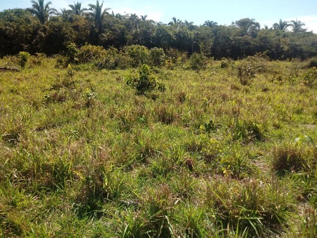 Chácara de 39 hectares em Acorizal ! - Foto 9