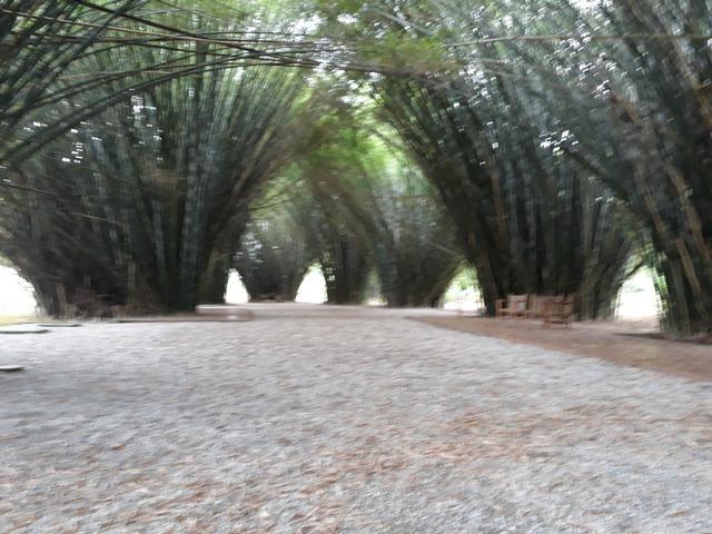 Garden Park Cachoeiras de Macacu-infraestrutura completa-ligue já - Foto 8