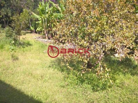 Sítio com área de 2500 m² com duas casas no parque boa união. - Foto 18