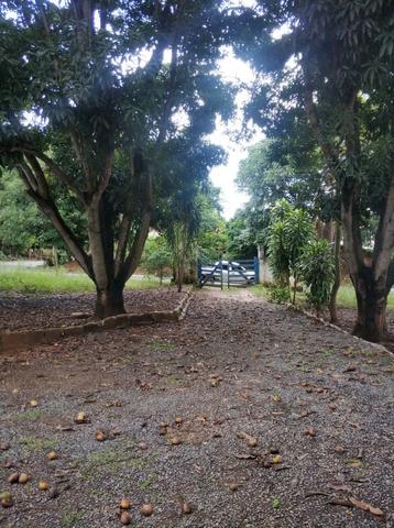 Sítio Beira do Rio São Francisco - Três Marias - MG - Foto 17