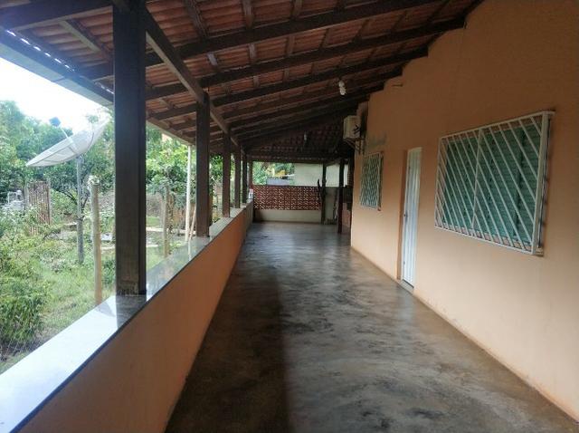 Sítio Beira Rio - Três Marias - MG - Próximo ao Rio São Francisco - Foto 14