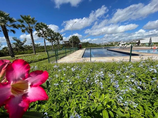 Grande oportunidade de lote nascente com 454m² na Cidade Alpha Ceará - Foto 4