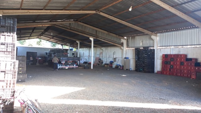GALPÃO A VENDA  - Foto 4