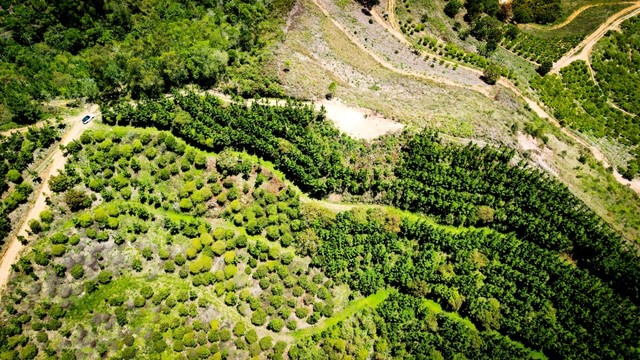 Terreno com 20.000m2 em Pedra Azul | Domingos Martins - Foto 3