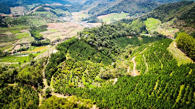 Terreno com 20.000m2 em Pedra Azul | Domingos Martins