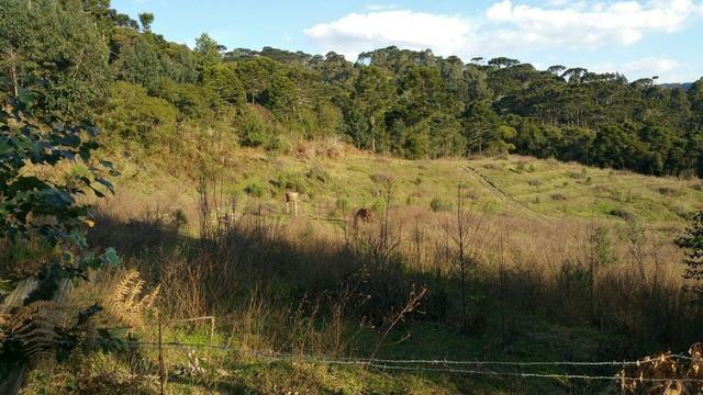 Sitio em Urubici /chacara em Urubici - Foto 10