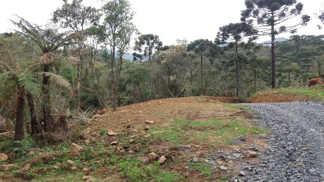 Sitio em Urubici /chacara em Urubici - Foto 5