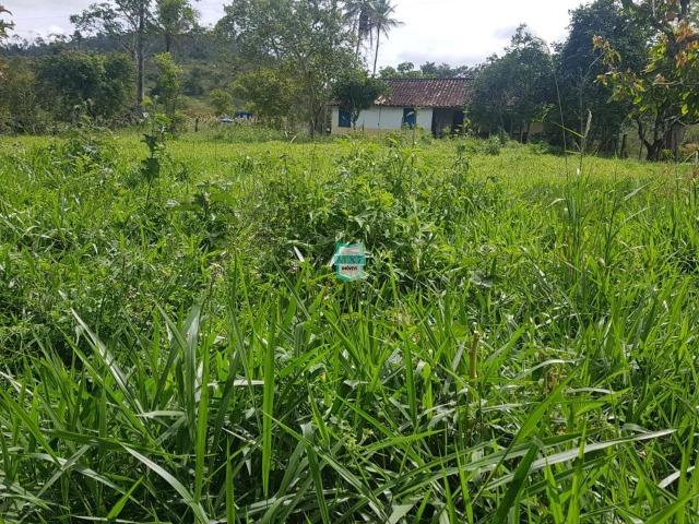 Ipiaú. Fazenda pecuária com 418 Hectares, completa infraestrutura - Foto 18