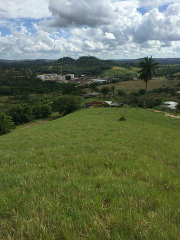 Fazenda na Cidade de Mata de São João - Foto 12